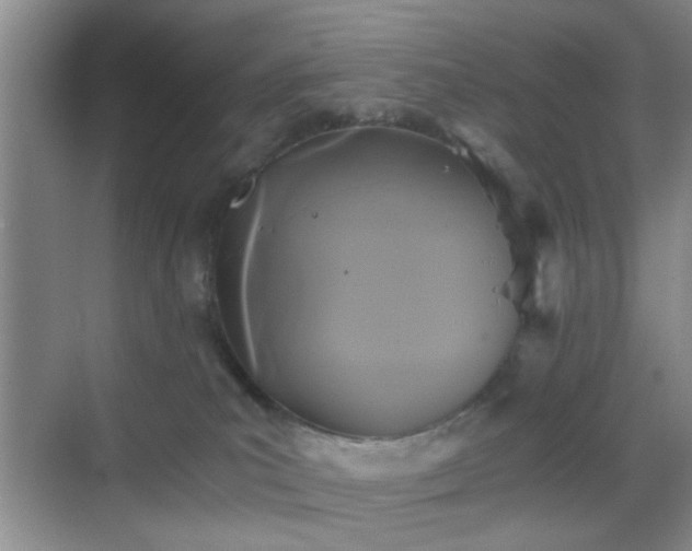 X0000068810039200605081131