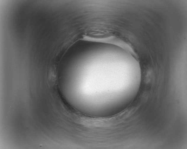 X0000068810040200605081131