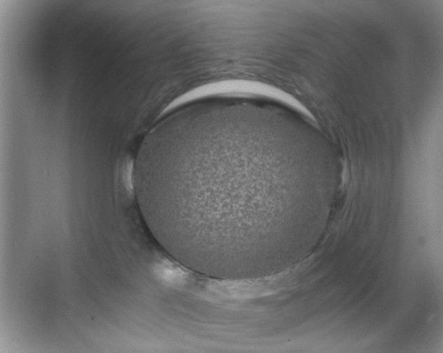 X0000068810041200605081131