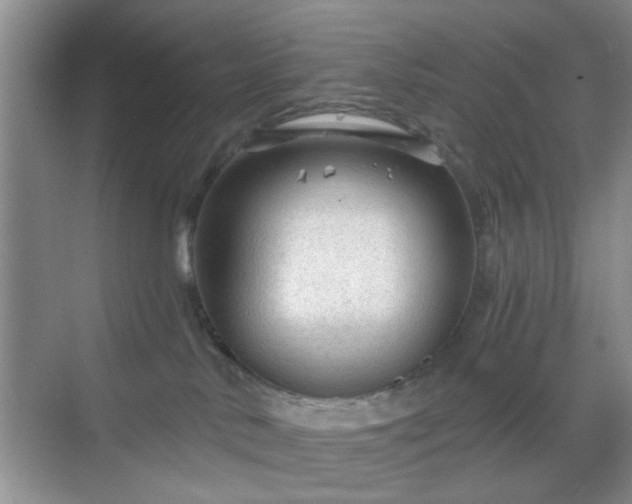 X0000068810042200605081131