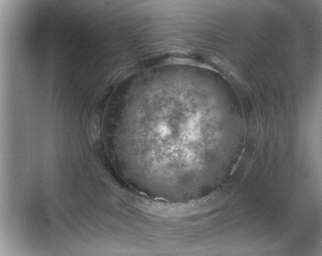 X0000068810043200605081131