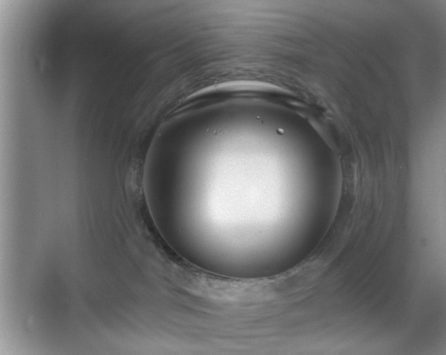 X0000068810044200605081131