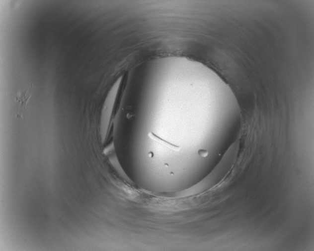 X0000068810045200605081131