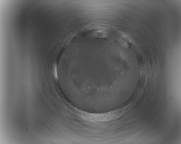 X0000068810046200605081131