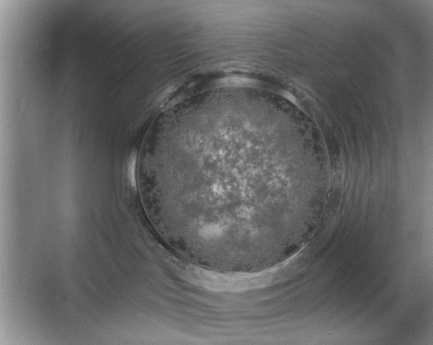 X0000068810047200605081131