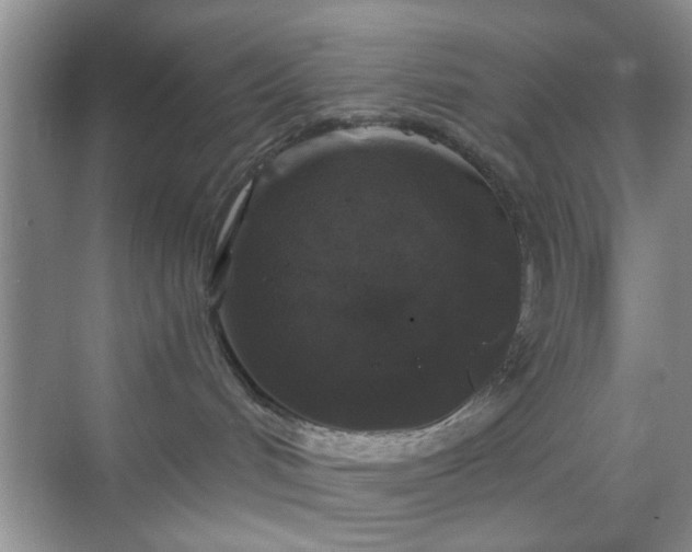 X0000068810048200605081131