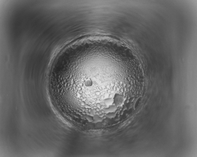 X0000068810049200605081130