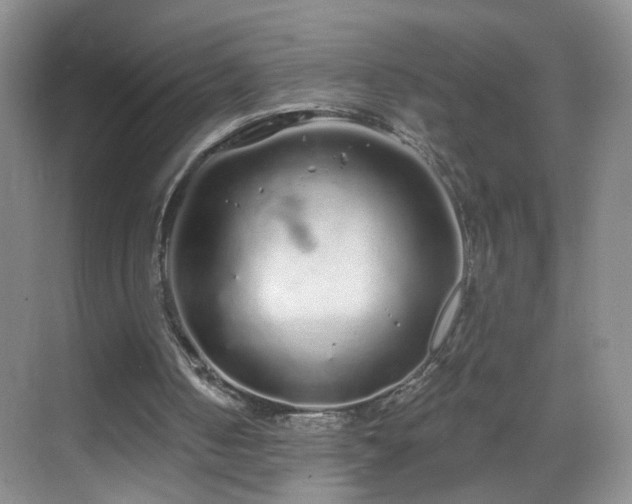 X0000068810050200605081130