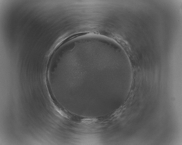 X0000068810051200605081130