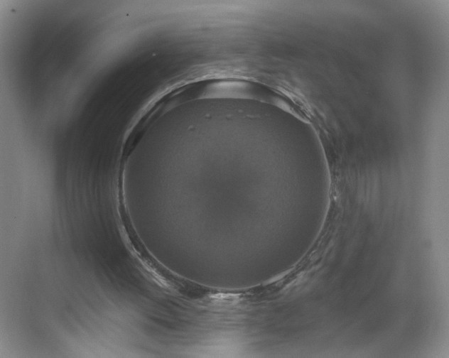 X0000068810052200605081130