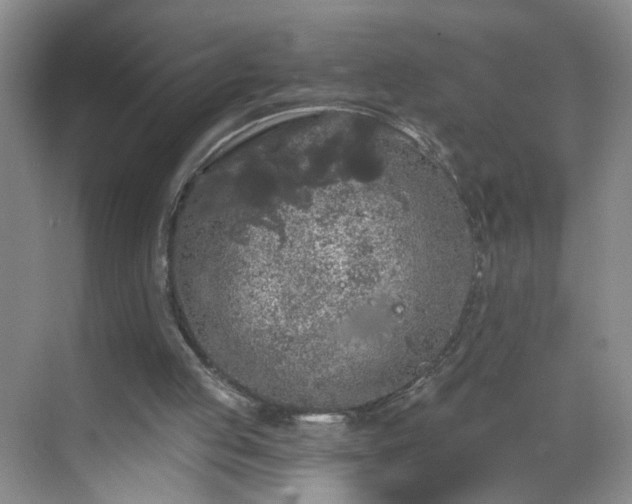 X0000068810053200605081130