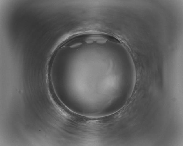 X0000068810054200605081130