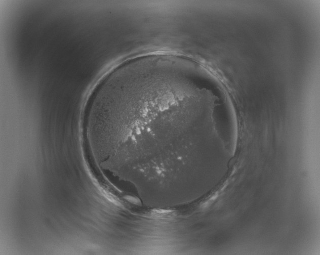 X0000068810055200605081130