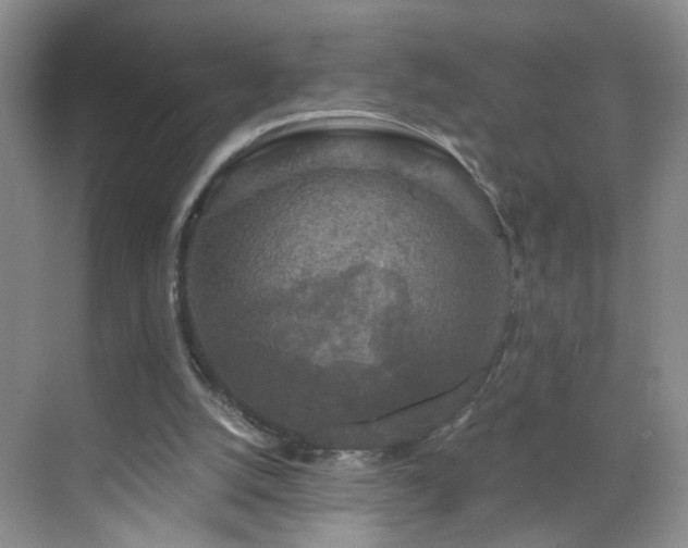 X0000068810056200605081130