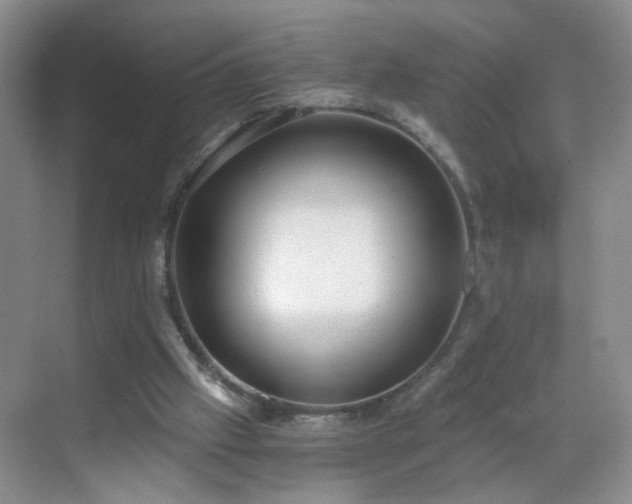 X0000068810057200605081130