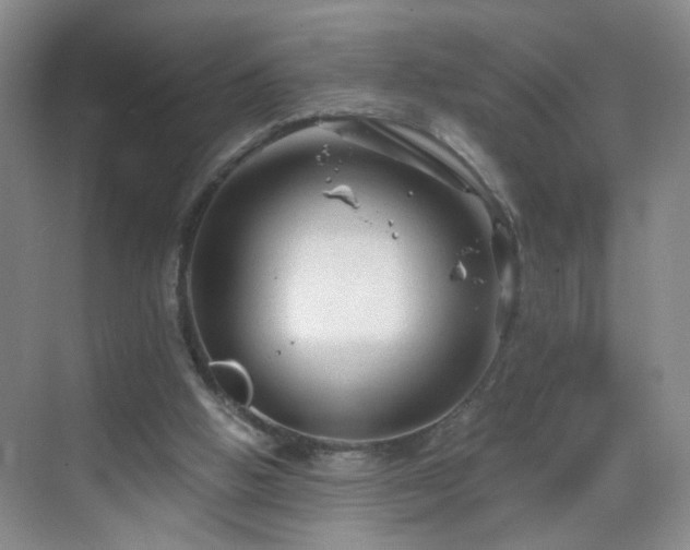 X0000068810058200605081130