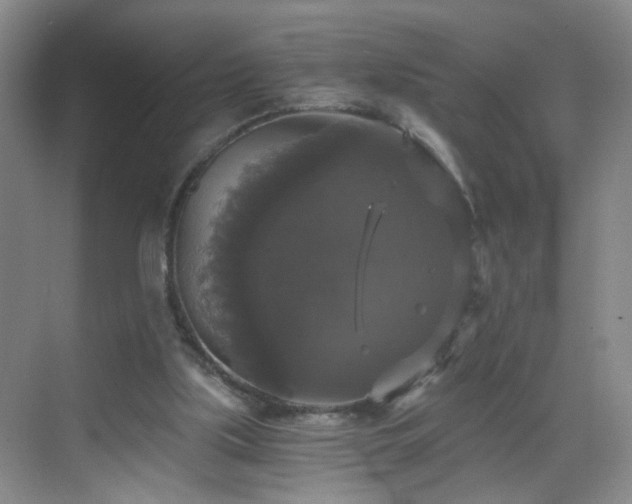 X0000068810059200605081130