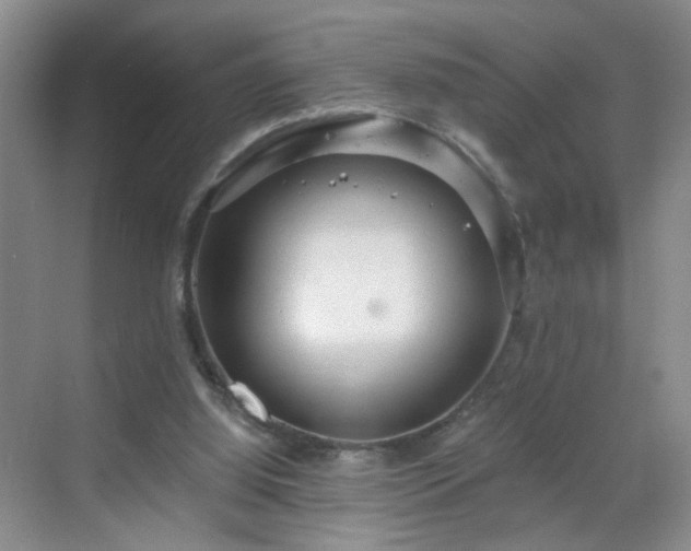 X0000068810060200605081130