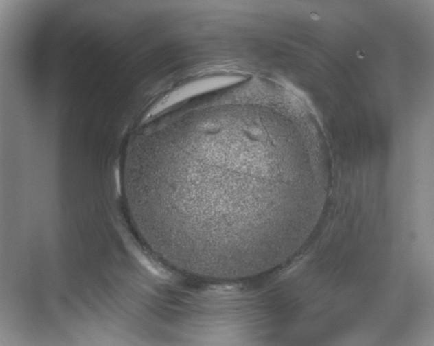 X0000068810061200605081130