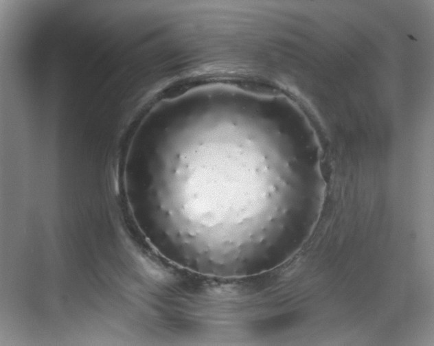 X0000068810062200605081130