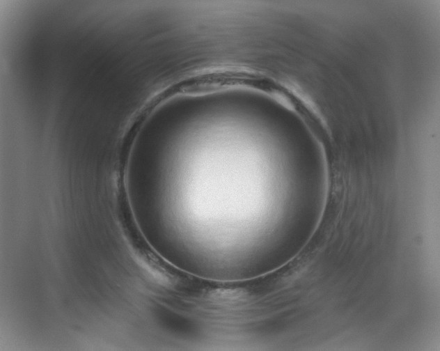 X0000068810063200605081130