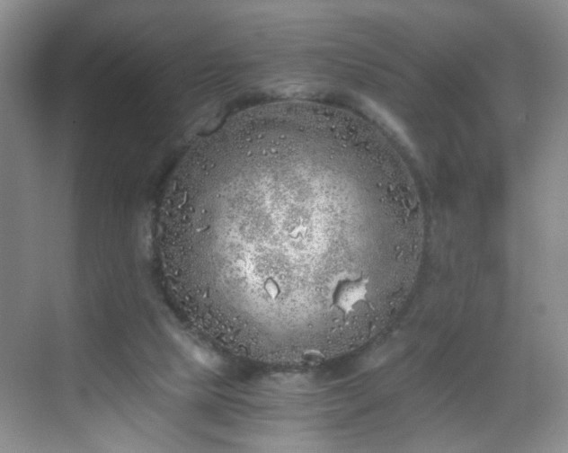 X0000068810065200605081130