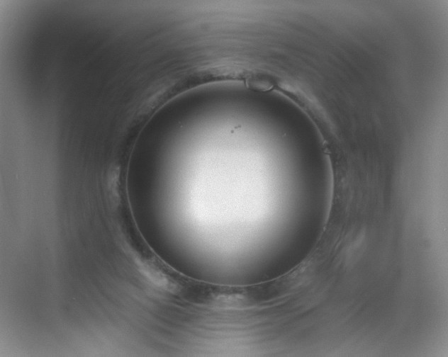 X0000068810066200605081130