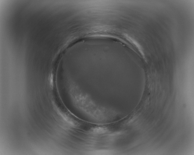 X0000068810067200605081130