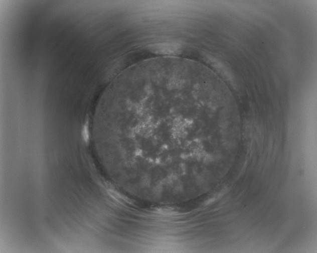 X0000068810069200605081130