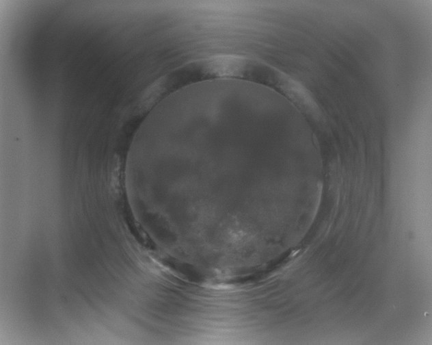 X0000068810073200605081130