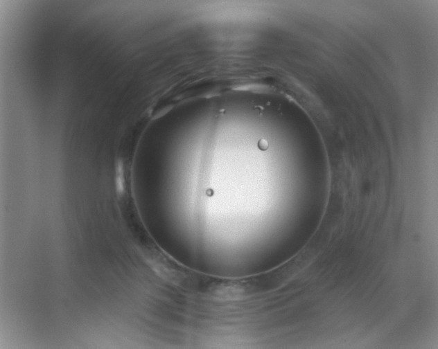 X0000068810075200605081130