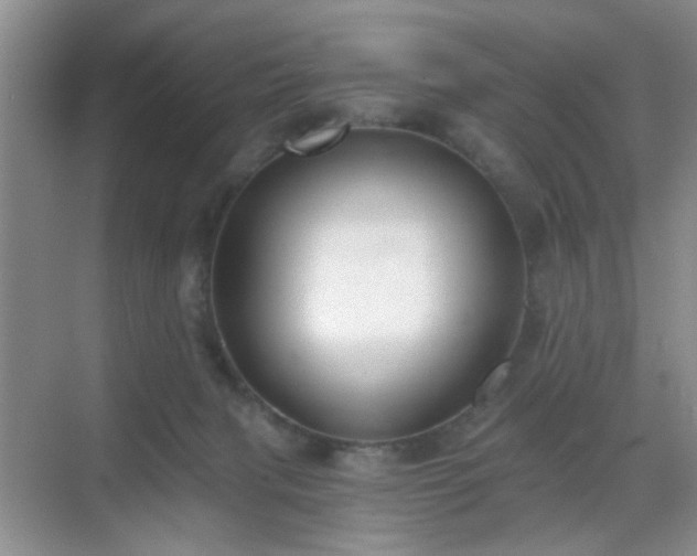 X0000068810079200605081130