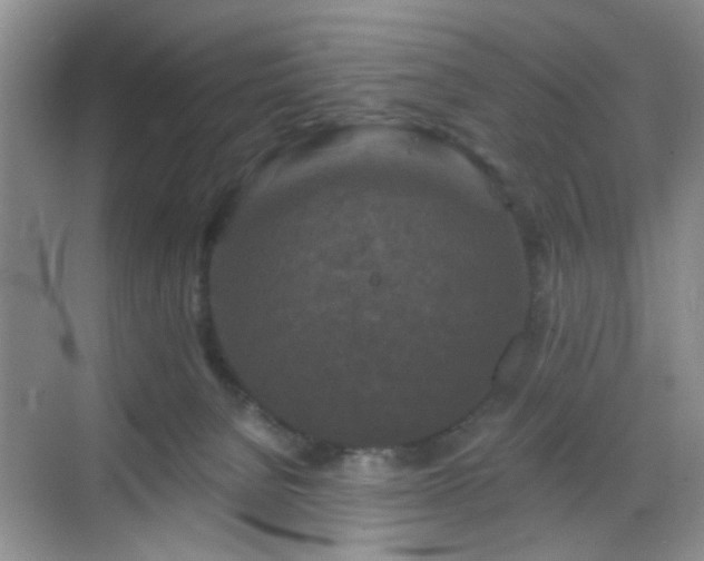 X0000068810080200605081130