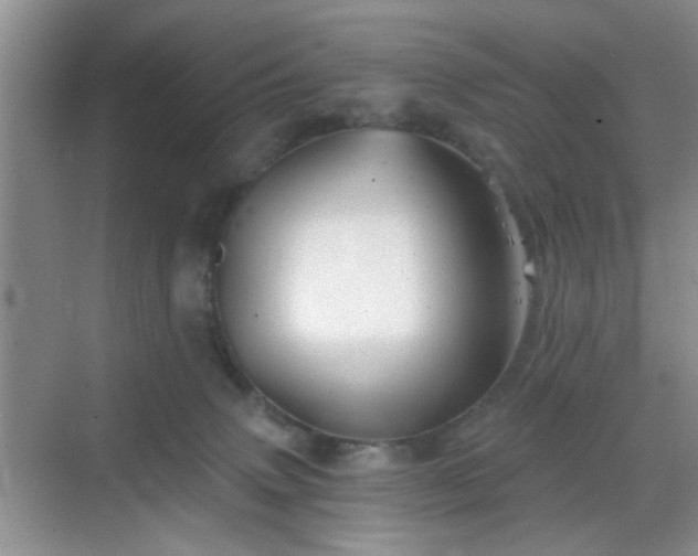 X0000068810083200605081130