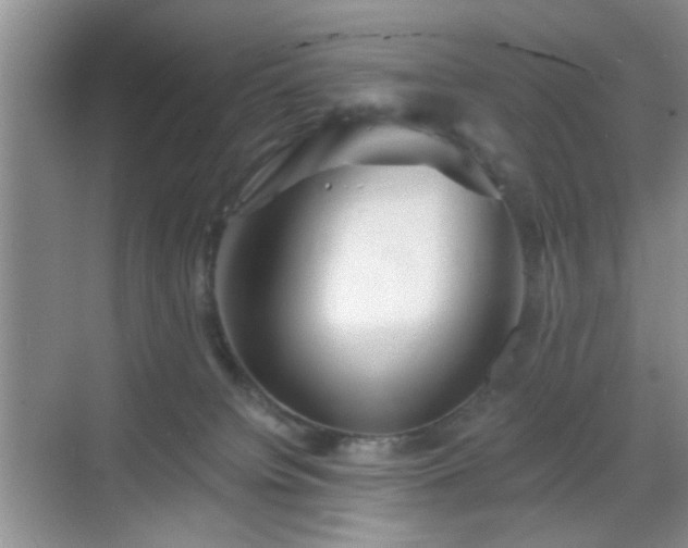 X0000068810084200605081130