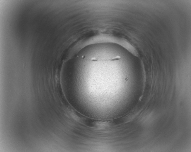 X0000068810085200605081130