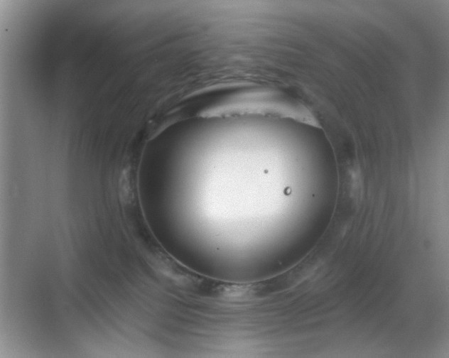 X0000068810088200605081130