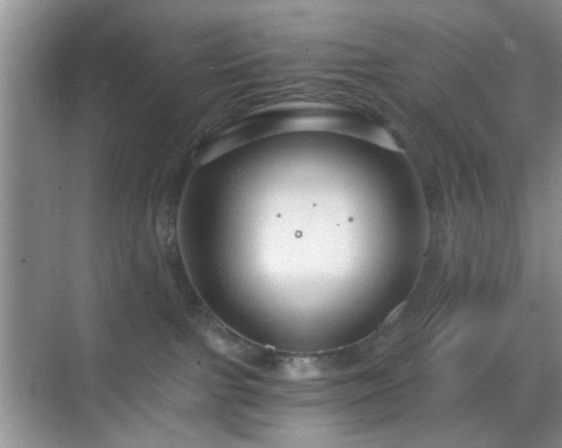 X0000068810091200605081130