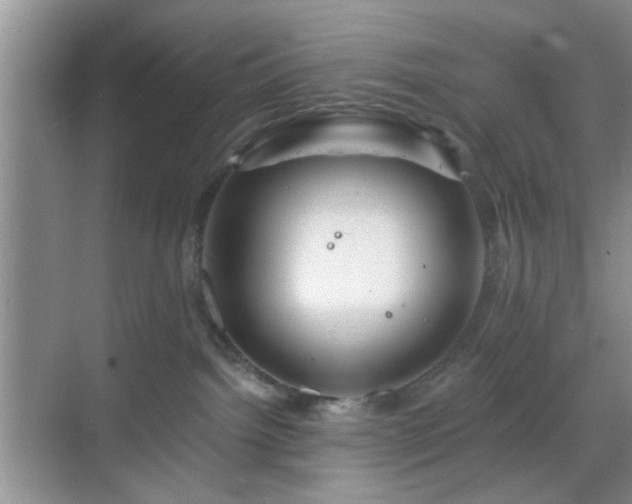 X0000068810092200605081130