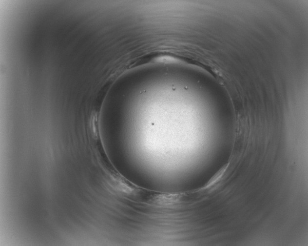 X0000068810094200605081131