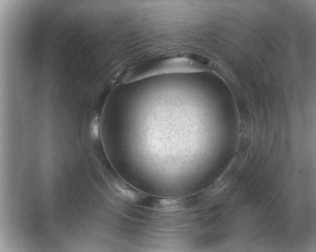 X0000068810095200605081131