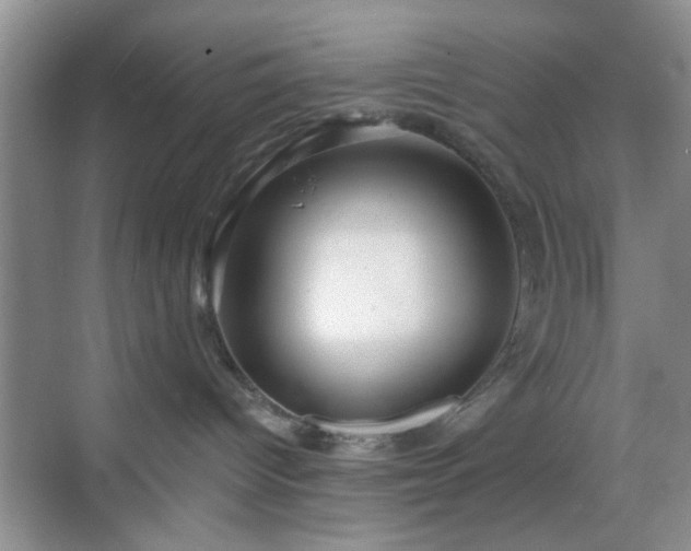 X0000068810096200605081131