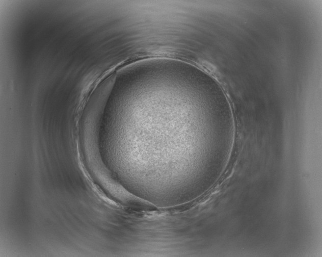 X0000068810097200605081130