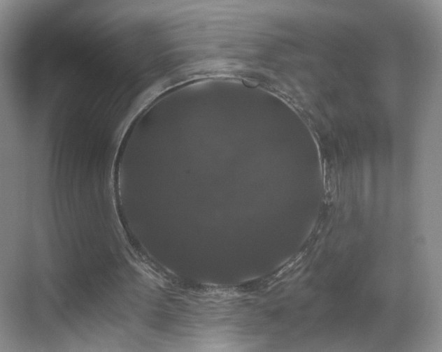 X0000068810099200605081130