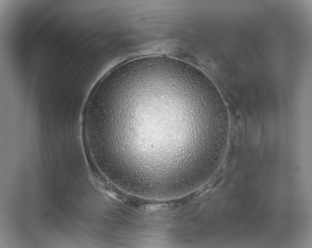 X0000068810100200605081130