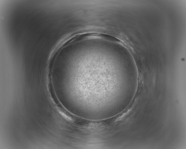 X0000068810101200605081130