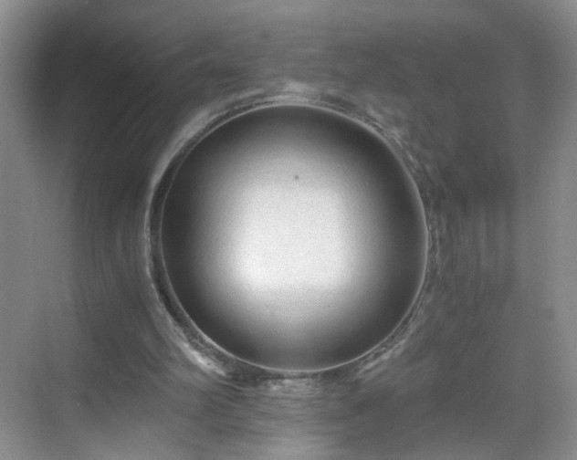 X0000068810102200605081130