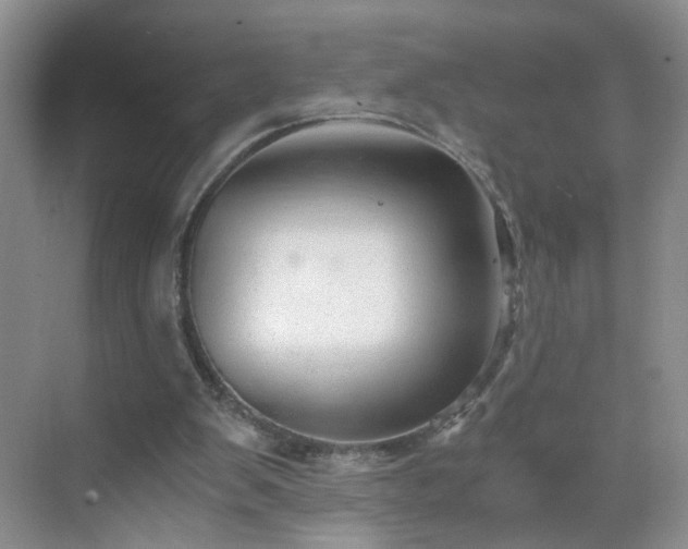 X0000068810103200605081130