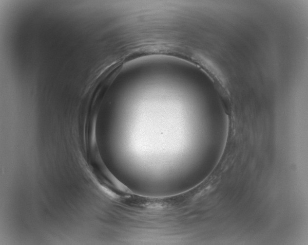 X0000068810105200605081130