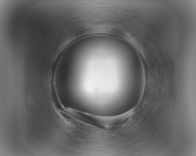 X0000068810107200605081130